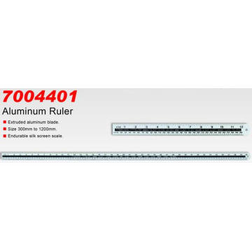 Endurable Silk Screen Scale Aluminum Ruler (7004401)